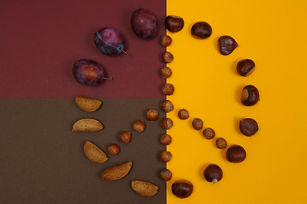 포토 JPG 해외이미지 모양 아이콘 디자인 계절 행복 분홍색 백그라운드 패턴 오렌지 자연 추상 휴가 아이디어 사랑 미술 이벤트 사람없음 목재 장식 빨간색 여름 세트 컬러풀 노란색 평화 검은색 봄 활발 수확 흰색 시골 원형 신용카드 그룹 심볼 오브젝트 사인 질감 강렬 스타일 해외202004 해외포토 도형 나무 감정 컬러 컨셉 무늬 농업 과일 재료 문화예술 금융 생태계 파일형식 이미지허브