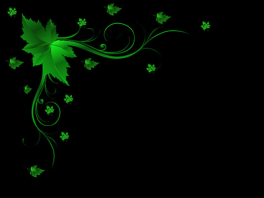 포토 JPG 해외이미지 식물 디자인 계절 꽃 행복 백그라운드 잎 패턴 자연 하늘 추상 아이디어 창조 미술 사람없음 야외 장식 빨간색 초록색 여름 컬러풀 수확 성장 가을 흰색 신선 떨어짐 카피스페이스 해외202004 해외포토 감정 컬러 컨셉 무늬 농업 문화예술 공백 생태계 파일형식 이미지허브