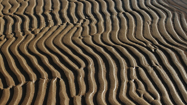 포토 JPG 해외이미지 물결 모래 파도 바다 백그라운드 패턴 아프리카 자연 추상 사람없음 물 갈색 노란색 줄무늬 사막 모래언덕 웨이브 얼룩말 잔물결 해외202004 해외포토 자연요소 나라 컬러 무늬 말_동물 언덕 생태계 파일형식 이미지허브