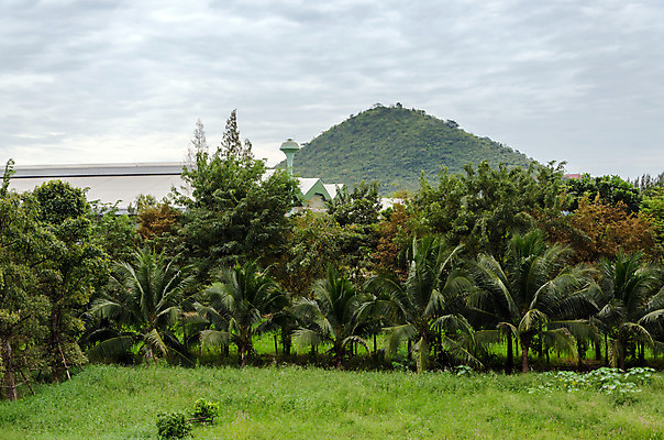 포토 JPG 해외이미지 나무 식물 구름 계절 공원 야생동물 여행 백그라운드 꽃무늬 태국 자연 하늘 날씨 휴가 산 풍경 사람없음 야외 목재 초록색 여름 빛 햇빛 환경 정원 봄 자유 시골 신선 정상 숲 땅 창고 언덕 내추럴 생태학 해외202004 해외포토 자연요소 동물 공공시설 교육 꽃 아시아 컬러 컨셉 무늬 재료 태양 생태계 파일형식 이미지허브