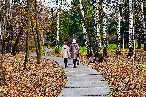 포토 JPG 해외이미지 나무 커플 계절 공원 도로 길 스포츠 여행 잎 겨울 자연 스키 거리 사람 풍경 사람없음 야외 목재 초록색 여름 달리기 노란색 걷기 산책 추위 가을 숲 식물원 해외202004 해외포토 식물 공공시설 컬러 재료 관계 교통시설 모션 겨울스포츠 휴식 생태계 파일형식 이미지허브