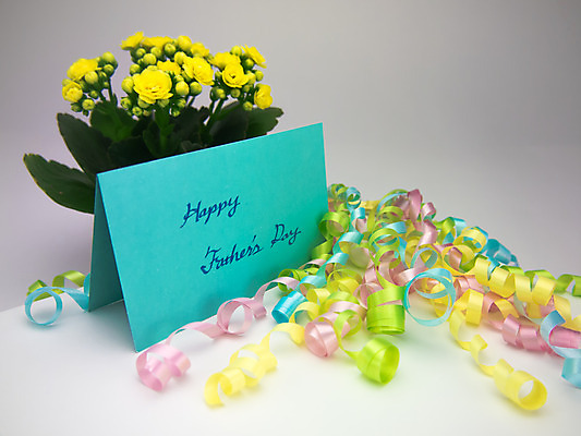 포토 JPG 해외이미지 디자인 기념일 남자 꽃 행복 리본 종이 어린이 분홍색 백그라운드 텍스트 가족 휴가 기념 프레임 선물 사랑 미술 이벤트 사람없음 장식 초록색 파란색 노란색 라벨 흰색 하트 축하 인사 신용카드 메시지 아빠 달콤 엽서 초대 특별함 해외202004 해외포토 모양 식물 감정 컬러 컨셉 관계 문화예술 사람 금융 예절 맛 편지 파일형식 이미지허브