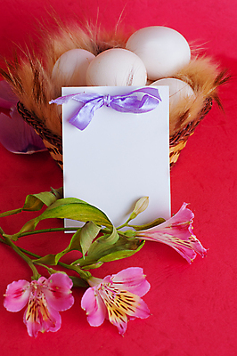 포토 JPG 해외이미지 디자인 꽃 행복 리본 종이 분홍색 꽃다발 백그라운드 꽃무늬 패턴 자연 휴가 선물 사람없음 장식 초록색 컬러풀 바구니 우주 보라색 축제 봄 흰색 축하 인사 신선 신용카드 화려 실크 다발 배열 활 부활절계란 고립 해외202004 해외포토 식물 계절 감정 컬러 컨셉 무늬 부활절 금융 계란 직물 예절 생태계 파일형식 이미지허브