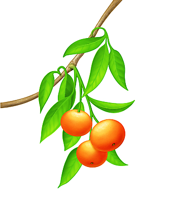 포토 JPG 해외이미지 식물 줄기 잎 과일 일러스트 자연 경사 사람없음 장식 초록색 갈색 새싹 환경 정원 봄 성장 나뭇가지 신선 개화 닫기 작음 묘사 오브젝트 원예 내추럴 미니 그리너리 부족함 해외202004 해외일러스트 나무 계절 꽃 컬러 컨셉 모션 취미 크기 생태계 파일형식 트랜드컬러 이미지허브