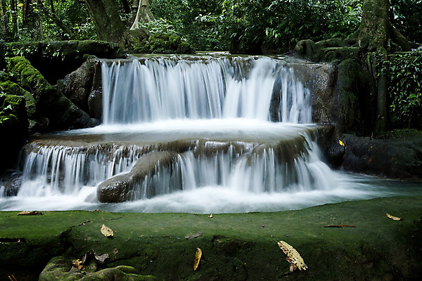 포토 JPG 해외이미지 나무 식물 공원 여행 백그라운드 꽃무늬 태국 자연 조명 풍경 사람없음 야외 물 강 컬러풀 일출 환경 봄 폭포 가을 숲 열대우림 공상 해외202004 해외포토 자연요소 계절 공공시설 꽃 아시아 컬러 무늬 노을 생태계 파일형식 이미지허브