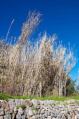 포토 JPG 해외이미지 전통 외관 문화 벽 여행 백그라운드 패턴 밭 건축양식 자연 하늘 추상 풍경 사람없음 야외 건물 여름 파란색 햇빛 갈색 바위 시골 거친 묘사 질감 장면 내추럴 옛날 해외202004 해외포토 건축물 계절 건축 컬러 무늬 농업 태양 돌_바위 생태계 파일형식 이미지허브