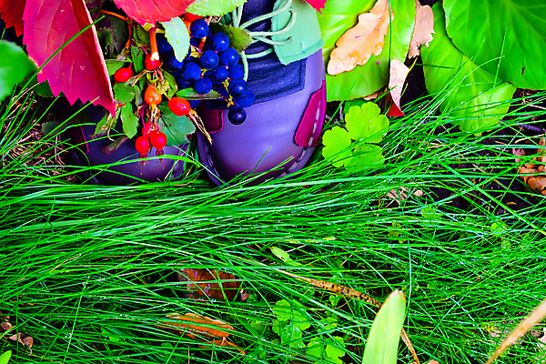 포토 JPG 해외이미지 식물 옷 공원 열매 꽃 어린이 음식 분홍색 신발 잎 크리스마스 2 벤치 과일 자연 포도 새로움 부츠 건강 사람없음 목재 장식 빨간색 초록색 장미 갈색 유행 산책 가을 흰색 아기 신선 쌍 샌들 가죽 다발 오브젝트 고무 내추럴 고립 숙성 양발 총각무 스타일 해외202004 해외포토 나무 계절 공공시설 기념일 컬러 컨셉 의자 재료 휴식 사람 무 생태계 파일형식 이미지허브