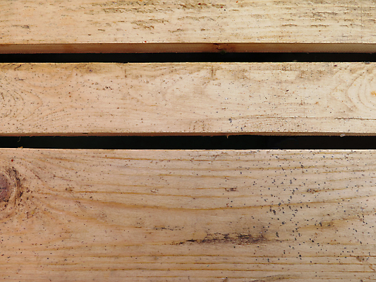 포토 JPG 해외이미지 디자인 벽 가구 백그라운드 패턴 자연 벽지 표면 바닥 주택 사람없음 목재 줄무늬 소나무 판넬 널 낟알 질감 수목 해외202004 해외포토 나무 생활용품 무늬 재료 건물 생태계 파일형식 이미지허브