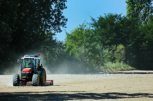 포토 JPG 해외이미지 나무 지구 밭 농업 모션 자연 조류 하늘 사람없음 농장 농경지 갈색 맑음 흙 가을 시간 농부 땅 준비 트랙터 밭일 쟁기 해외202004 해외포토 식물 동물 직업 계절 산업 컬러 날씨 농기계 생태계 특수차량 파일형식 이미지허브