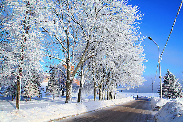 포토 JPG 해외이미지 나무 계절 도로 호수 백그라운드 겨울 벤치 자연 하늘 날씨 파노라마 풍경 사람없음 야외 가로 파란색 빛 햇빛 우주 냉동 얼음 활발 추위 흰색 나뭇가지 숲 가루 서리 지역 고드름 스카이라인 1월 넘어짐 벌거벗은 수평선 해외202004 해외포토 자연요소 식물 길 컬러 컨셉 의자 교통시설 모션 촬영기법 태양 날짜 생태계 파일형식 이미지허브