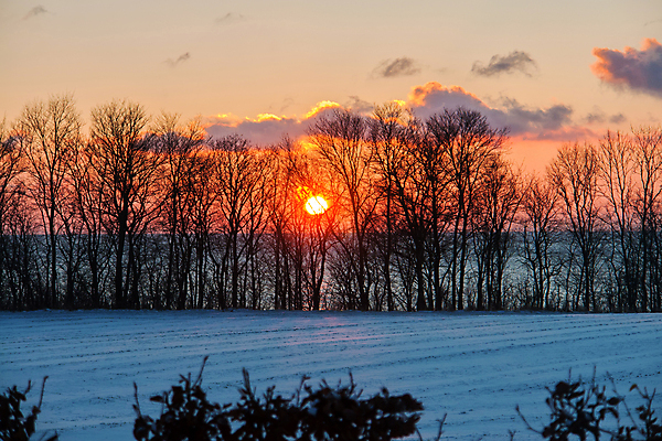 포토 JPG 해외이미지 주간 나무 구름 겨울 자연 하늘 사람없음 야외 태양 일몰 겨울풍경 해외202004 해외포토 자연요소 식물 계절 풍경 노을 생태계 파일형식 이미지허브