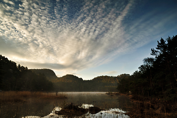 포토 JPG 해외이미지 자연 아침 부활절 노르웨이 풍경 사람없음 물 봄 숲 해외202004 해외포토 주간 자연요소 계절 기념일 유럽 생태계 파일형식 이미지허브