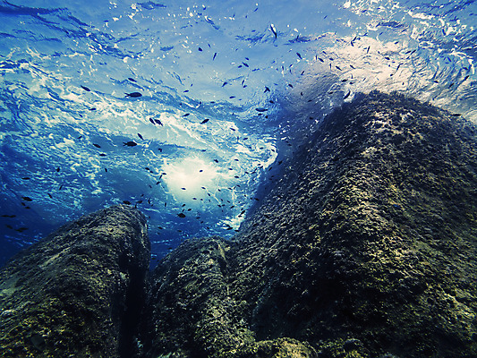 포토 JPG 해외이미지 파도 바다 백그라운드 자연 표면 바닥 어류 풍경 사람없음 물 파란색 빛 햇빛 태양 바닷속 수중 어둠 광선 액체 지중해 아래 순수 다이빙 암초 수족관 내추럴 깊이 터키석 해외202004 해외포토 자연요소 컬러 컨셉 수영 수중동물 보석 방향 생태계 위치 수중스포츠 파일형식 이미지허브