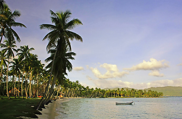 포토 JPG 해외이미지 나무 모래 파도 바다 섬 여행 자연 손바닥 풍경 사람없음 야외 물 여름 모래사장 기댐 만 대서양 공화국 이국적 터키석 파라다이스 해외202004 해외포토 자연요소 식물 손 계절 나라 모션 보석 생태계 파일형식 이미지허브