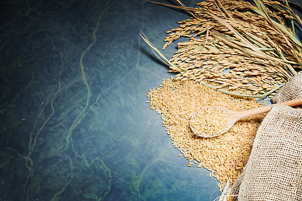 포토 JPG 해외이미지 식물 전통 음식 백그라운드 농업 다이어트 가방 재료 태국 자연 유리 밥 건조 건강 씨앗 동양인 사람없음 초록색 농장 갈색 노란색 쌓기 우주 숟가락 식사 이탈리아 장비 성장 황금 낟알 시리얼 삼베 유기농 질감 날것 귀 자루 스파이크 내추럴 고립 논밭 생식 숙성 카피스페이스 해외202004 해외포토 웰빙 잡화 유럽 산업 아시아 컬러 밭 모션 재질 논 수저 인종 신체부위 공백 생태계 파일형식 천_직물 이미지허브