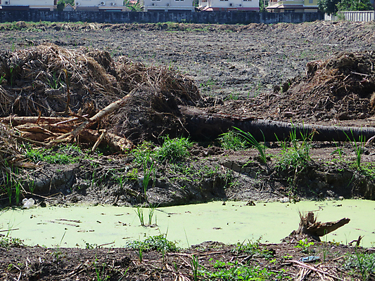 포토 JPG 해외이미지 계절 지구 백그라운드 자연 하늘 추상 풍경 사람없음 여름 파란색 갈색 검은색 흙 젖음 흰색 습지 질감 웅덩이 먼지 진흙 대야 내추럴 고립 해외202004 해외포토 컬러 무늬 생태계 파일형식 이미지허브