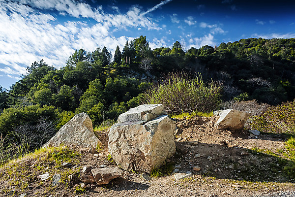 포토 JPG 해외이미지 나무 구름 자연 산 풍경 사람없음 야외 초록색 파란색 골짜기 캘리포니아 로스앤젤레스 해외202004 해외포토 자연요소 식물 컬러 미국 생태계 파일형식 이미지허브