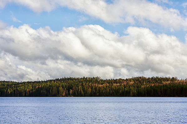 포토 JPG 해외이미지 나무 구름 호수 백그라운드 자연 하늘 낚시 휴가 풍경 사람없음 야외 초록색 물 여름 파란색 컬러풀 햇빛 반사 평화 미국 침묵 봄 활발 시골 숲 명상 내추럴 수평선 해외202004 해외포토 자연요소 식물 계절 컬러 컨셉 북아메리카 레저 태양 소리 생태계 파일형식 이미지허브