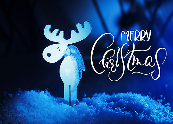 포토 JPG 해외이미지 디자인 백그라운드 크리스마스장식 크리스마스 사람없음 파란색 루돌프 축하 레터링 해외202004 해외포토 기념일 컬러 컨셉 사슴 파일형식 이미지허브