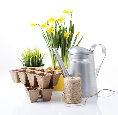 포토 JPG 해외이미지 나무 식물 꽃 화분 장갑 잎 농업 자연 사람없음 노란색 흙 봄 공구 모종삽 삽 허브 물주기 원예 수선화 로즈메리 갈퀴 돌봄 세이지 해외202004 해외포토 잡화 계절 산업 컬러 모션 취미 도구 생태계 파일형식 이미지허브