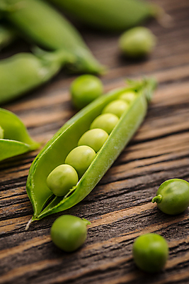 포토 JPG 해외이미지 실내 근접촬영 사람없음 아웃포커스 완두콩 꼬투리 해외202004 해외포토 뷰포인트 콩 촬영기법 내부 파일형식 이미지허브