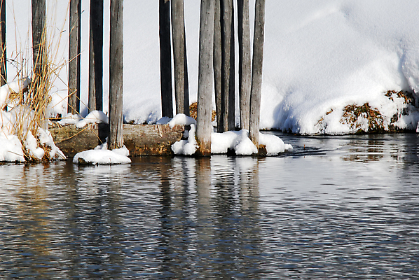 포토 JPG 해외이미지 나무 계절 공원 호수 크리스마스 겨울 자연 휴가 풍경 사람없음 물 냉동 얼음 추위 흰색 숲 해외202004 해외포토 자연요소 식물 공공시설 기념일 컬러 생태계 파일형식 이미지허브