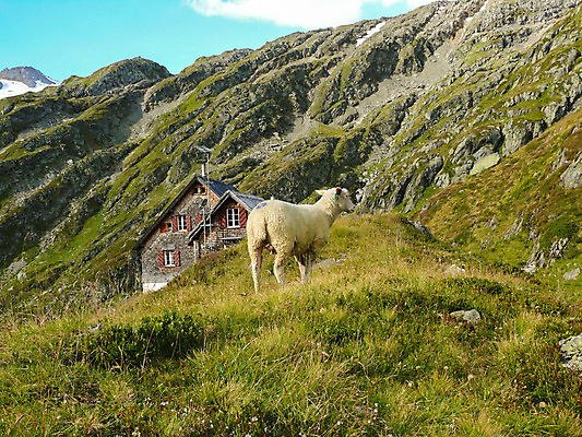 포토 JPG 해외이미지 구름 여행 자연 산 바닥 텐트 사람없음 야외 물 파란색 강 태양 계곡 맑음 얼음 트래킹 캠핑 하이킹 흐름 추위 자유 바위 신선 정상 사진사 언덕 빙하 오르기 알프스 내추럴 추적 절정 해외202004 해외포토 자연요소 유럽 컬러 컨셉 모션 레저 날씨 캠핑도구 돌_바위 작가 생태계 파일형식 이미지허브