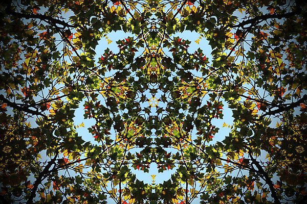 포토 JPG 해외이미지 모양 디자인 꽃 백그라운드 꽃무늬 패턴 오렌지 일러스트 벽지 추상 미술 동양인 사람없음 그래픽 장식 초록색 파란색 컬러풀 디지털 검은색 흰색 직물 원형 눈송이 화려 사인 그림 질감 복고 공상 동쪽 대칭 만다라 만화경 엘리먼트 핸드메이드 해외202004 해외포토 도형 식물 컬러 컨셉 무늬 과일 문화예술 눈_날씨 인종 장난감 방향 파일형식 이미지허브