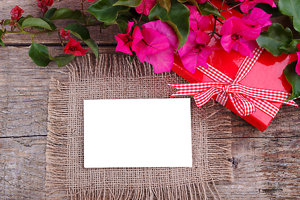 포토 JPG 해외이미지 디자인 기념일 리본 분홍색 꽃다발 결혼 탁자 결혼식 휴가 발렌타인데이 사랑 사람없음 목재 장식 빨간색 상자 장미 우주 봄 수확 벚꽃 시골 축하 정상 심볼 복고 약혼 해외202004 해외포토 나무 계절 꽃 감정 컬러 가구 컨셉 농업 재료 데이이벤트 이벤트 약속 파일형식 이미지허브