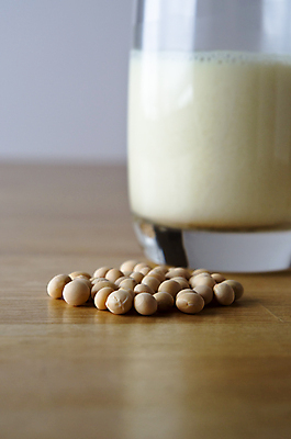포토 JPG 해외이미지 음료 음식 다이어트 유리 탁자 콩 건조 사람없음 목재 우유 그룹 대두 많음 카피스페이스 비건 해외202004 해외포토 나무 가구 컨셉 재료 재질 유제품 곡류 건강 공백 채식주의자 파일형식 이미지허브