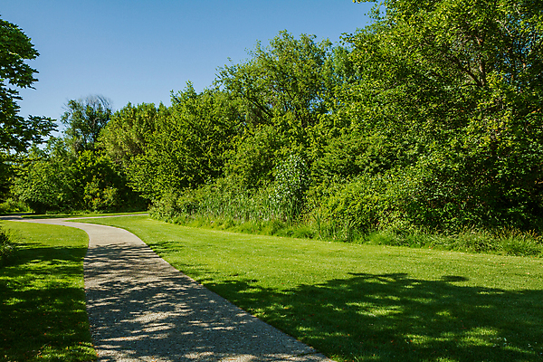 포토 JPG 해외이미지 식물 공원 도로 길 잎 자국 자연 풍경 잔디 사람없음 야외 초록색 여름 우주 환경 맑음 봄 숲 장면 내추럴 해외202004 해외포토 계절 공공시설 컬러 교통시설 날씨 생태계 파일형식 이미지허브