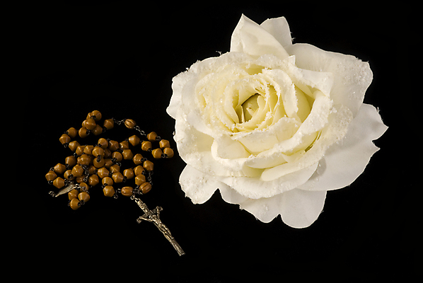 포토 JPG 해외이미지 꽃 종교 백그라운드 십자가 목걸이 자연 사람없음 장미 검은색 성경 기도 죽음 예수 은색 집중 묵주 장례 세례 해외202004 해외포토 식물 컬러 컨셉 장신구 종교용품 신_종교 생태계 파일형식 이미지허브