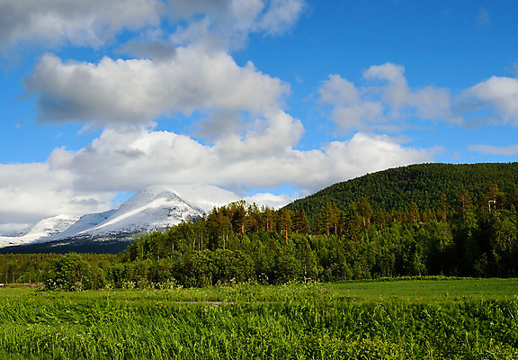 포토 JPG 해외이미지 나무 구름 유럽 백그라운드 자연 하늘 산 파노라마 노르웨이 풍경 사람없음 야외 초록색 여름 파란색 햇빛 침묵 활발 원형 황무지 숲 북극 언덕 그림 2014년 북쪽 내추럴 북극해 웅장함 절정 해외202004 해외포토 자연요소 도형 식물 계절 나라 바다 컬러 컨셉 촬영기법 태양 소리 연도 극지방 방향 생태계 파일형식 이미지허브