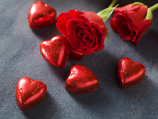 포토 JPG 해외이미지 회색배경 발렌타인데이 사람없음 빨간색 하이앵글 장미 초콜릿 하트 오브젝트 해외포토 모양 꽃 뷰포인트 컬러 백그라운드 데이이벤트 디저트 회색 파일형식 이미지허브