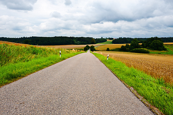 포토 JPG 해외이미지 나무 식물 꽃잎 유럽 도로 길 잎 밭 하늘 독일 옥수수 풍경 잔디 사람없음 야외 초록색 여름 파란색 농장 농경지 숲 아스팔트 땅 밀 언덕 내추럴 땅바닥 바이에른 해외202004 해외포토 계절 꽃 나라 컬러 농업 교통시설 곡류 바닥 파일형식 이미지허브