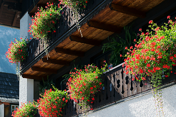 포토 JPG 해외이미지 유럽 건축양식 주택 사람없음 야외 목재 빨간색 초록색 컬러풀 갈색 마을 맑음 가을 오스트리아 해외202004 해외포토 나무 계절 건축 나라 컬러 재료 날씨 건물 파일형식 이미지허브