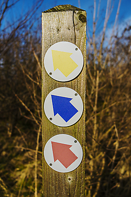 포토 JPG 해외이미지 화살 사람없음 야외 목재 빨간색 파란색 노란색 정보 원형 방향 심볼 사인 질서 루트 해외202004 해외포토 도형 나무 컬러 재료 예절 파일형식 이미지허브