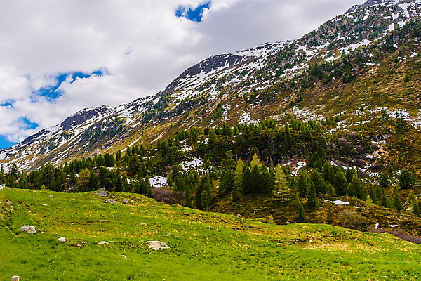 포토 JPG 해외이미지 나무 계절 공원 유럽 여행 백그라운드 밭 자연 하늘 휴가 산 풍경 사람없음 야외 초록색 여름 파란색 햇빛 농장 환경 계곡 맑음 일몰 봄 하이킹 시골 오스트리아 땅 스위스 언덕 알프스 장면 남쪽 내추럴 절정 해외202004 해외포토 식물 공공시설 나라 컬러 농업 레저 날씨 태양 노을 방향 생태계 파일형식 이미지허브