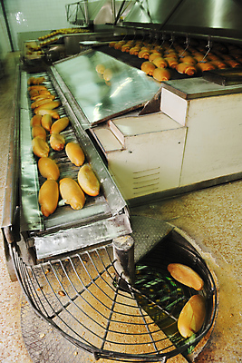 포토 JPG 해외이미지 빵 공장 실내 사람없음 컨베어밸트 해외202004 해외포토 음식 공업 내부 기계 파일형식 이미지허브