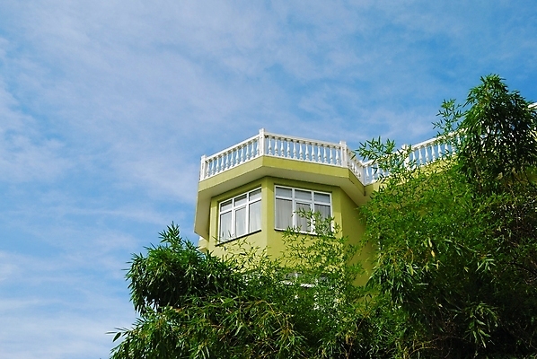 포토 JPG 해외이미지 나무 외관 공원 잎 건축양식 유리 하늘 사람없음 야외 건물 장식 클래식 구식 해외202004 해외포토 식물 건축물 공공시설 건축 컨셉 재질 파일형식 이미지허브