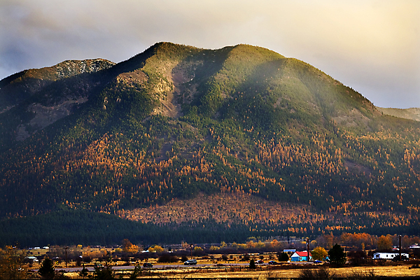 포토 JPG 해외이미지 나무 계절 산 풍경 사람없음 건물 목재 컬러풀 농장 노란색 계곡 목장 가을 시골 황금 언덕 밭일 해외202004 해외포토 식물 건축물 컬러 농업 재료 파일형식 이미지허브