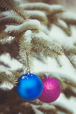 포토 JPG 해외이미지 나무 동물 템플릿 전통 계절 행복 포스터 리본 백그라운드 크리스마스 겨울 공 휴가 불꽃 새로움 기념 선물 사람없음 장식 초록색 파란색 빛 장난감 보라색 축제 흰색 나뭇가지 축하 인사 신용카드 눈송이 소프트포커스 12월 연도 고립 노엘 해외202004 해외포토 식물 기념일 감정 컬러 컨셉 불 눈_날씨 촬영기법 금융 예절 날짜 파일형식 이미지허브