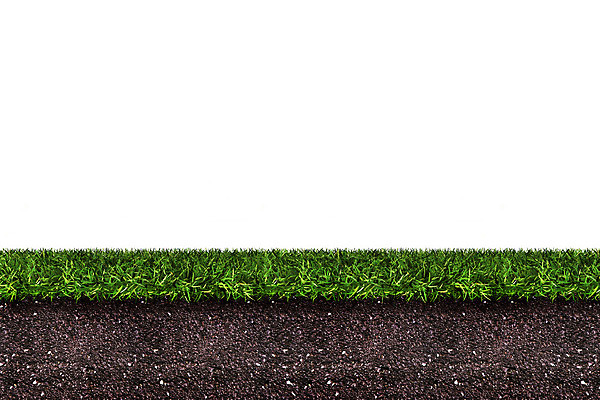 포토 JPG 해외이미지 식물 구름 계절 백그라운드 밭 자연 건강 파노라마 잔디 사람없음 가로 초록색 여름 농장 3D 환경 정원 흙 봄 성장 흰색 신선 칼날 만들기 먼지 내추럴 땅바닥 해외202004 해외포토 자연요소 컬러 농업 모션 바닥 촬영기법 디지털합성 생태계 파일형식 이미지허브