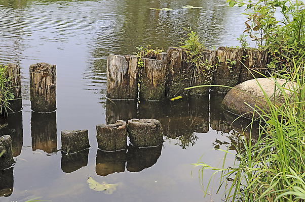 포토 JPG 해외이미지 계절 호수 자연 낚시 사람없음 야외 물 강 반사 시골 연못 강가 러시아 통나무 담배꽁초 북쪽 썩음 해외202004 해외포토 자연요소 나무 유럽 레저 담배 방향 생태계 파일형식 이미지허브
