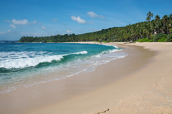 포토 JPG 해외이미지 아시아 모래 바다 여행 자연 열대 풍경 사람없음 물 모래사장 황금 12월 인도양 내추럴 스리랑카 이국적 파라다이스 해외202004 해외포토 자연요소 나라 날짜 생태계 파일형식 이미지허브