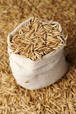 포토 JPG 해외이미지 식물 웰빙 음식 조각 농업 다이어트 가방 재료 자연 건조 건강 식이요법 옥수수 씨앗 사람없음 농작물 갈색 노란색 식사 흰색 아침식사 낟알 시리얼 밀 유기농 질감 자루 내추럴 고립 뮤즐리 오트밀 채식주의자 귀리 해외202004 해외포토 잡화 산업 컬러 곡류 생태계 채식 파일형식 이미지허브