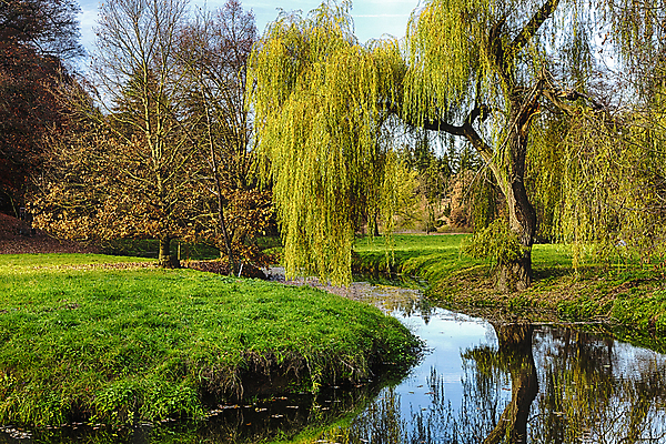 포토 JPG 해외이미지 나무 구름 계절 공원 호수 여행 잎 꽃무늬 자연 하늘 아침 풍경 사람없음 초록색 물 여름 파란색 강 컬러풀 햇빛 노란색 일출 환경 고요 일몰 봄 새벽 거울 가을 연못 신선 개울 버드나무 장면 생태학 해외202004 해외포토 주간 자연요소 식물 공공시설 교육 꽃 컬러 무늬 태양 노을 생태계 파일형식 이미지허브