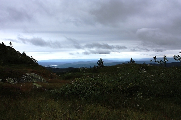 포토 JPG 해외이미지 나무 구름 길 선 자연 하늘 날씨 산 이끼 풍경 사람없음 초록색 물 평화 어둠 화목 침묵 젖음 가을 소나무 황무지 변화 숲 멀리 자작나무 노출 산악지대 변소 해외202004 해외포토 자연요소 식물 계절 컬러 컨셉 소리 생태계 파일형식 이미지허브