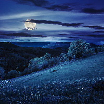 포토 JPG 해외이미지 하늘 산 풍경 초원 사람없음 야외 파란색 보름달 달 야간 언덕 해외202004 해외포토 자연요소 컬러 파일형식 이미지허브