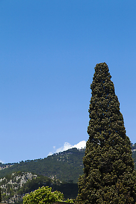 포토 JPG 해외이미지 나무 식물 공원 꽃 바다 여행 건축양식 자연 하늘 휴가 휴식 열대 산 손바닥 풍경 잔디 사람없음 야외 초록색 물 여름 파란색 교회 여행객 정원 검은색 흰색 스페인 휴양지 정사각형 지역 남쪽 내추럴 로스앤젤레스 안달루시아 이국적 해외202004 해외포토 자연요소 도형 손 계절 공공시설 건축 유럽 컬러 컨셉 종교건축 사람 건물 미국 장소 방향 생태계 파일형식 이미지허브